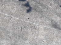 Spamure(?) on G 67 rock, level 2. Chicago lakefront stone carvings, south of Montrose Harbor. 2023 Spamure(?) on G 67 rock, level 2. Chicago lakefront stone carvings, south of Montrose Harbor. 2023
