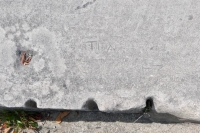 Tina +. Chicago lakefront stone carvings, south of Montrose Harbor. 2022 Tina +. Chicago lakefront stone carvings, south of Montrose Harbor. 2022