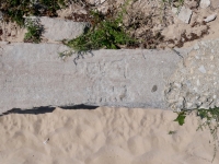 Shari and her unreadable admirer. Chicago lakefront stone carvings, Montrose Dog Beach. 2023