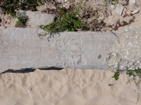 Shari and her unreadable admirer. Chicago lakefront stone carvings, Montrose Dog Beach. 2023 Shari and her unreadable admirer. Chicago lakefront stone carvings, Montrose Dog Beach. 2023