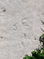 JE + AH. Chicago lakefront stone carvings, Montrose Dog Beach. 2023