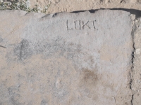 LOKI. Level 1. Chicago lakefront stone carvings, Montrose Dog Beach. 2023
