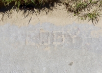 Cody. Chicago lakefront stone carvings, Montrose Beach. 2019