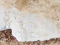 JUZ, MECGE. Chicago lakefront stone carvings, Montrose Beach. 2020 JUZ, MECGE. Chicago lakefront stone carvings, Montrose Beach. 2020
