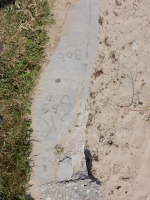 Ed C. 54, OK, Bob. Chicago lakefront stone carvings, Montrose Beach. 2017