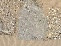 Mary and others. Chicago lakefront stone carvings, Montrose Beach. 2023