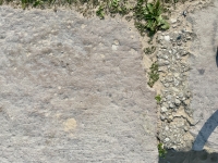 Atrioa. Chicago lakefront stone carvings, near Montrose Beach. 2021 Atrioa. Chicago lakefront stone carvings, near Montrose Beach. 2021