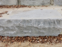 Look here(?) on rock with fire-breathing C and other carvings. Chicago lakefront stone carvings, Montrose Beach. 2020