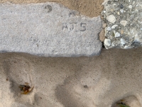RJS. Chicago lakefront stone carvings, Montrose Beach. 2023