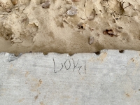 LOY 71, on row of stones inset from main revetment. Chicago lakefront stone carvings, Montrose Beach. 2023 LOY 71, on row of stones inset from main revetment. Chicago lakefront stone carvings, Montrose Beach. 2023