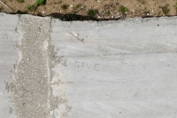 Give. Chicago lakefront stone carvings, Montrose Beach. 2020