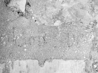 Bob + Sue. Chicago lakefront stone carvings, near Montrose Beach. 2020 Bob + Sue. Chicago lakefront stone carvings, near Montrose Beach. 2020