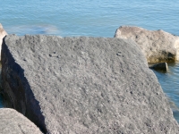 V, ZE, LE, possible smiley face, V. Chicago lakefront stone carvings, south of La Rabida Hospital. 2025