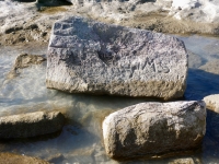 Sweet(?). Chicago Lakefront stone carvings, south of La Rabida Hospital. 2025