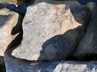 ZZ. Chicago lakefront stone carvings, south of La Rabida Hospital. 2025