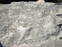 TAC, DC. Chicago lakefront stone carvings, south of La Rabida Hospital. 2025