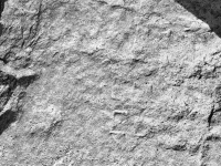 ED(?), another. Chicago lakefront stone carvings, south of La Rabida Hospital. 2025