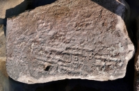 Joe 192(?), others. Chicago lakefront stone carvings, south of La Rabida Hospital. 2025