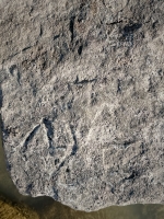 M. Chicago lakefront stone carvings, south of La Rabida Hospital. 2025