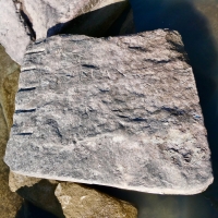 MA\PIC, NO. Chicago lakefront stone carvings, south of La Rabida Hospital. 2025