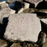 DEN, LB. Chicago lakefront stone carvings, south of La Rabida Hospital. 2025