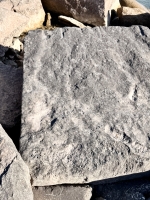 Nacho. Chicago lakefront stone carvings, south of La Rabida Hospital. 2025