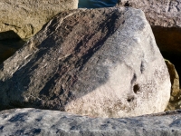 Remnant. Chicago lakefront stone carvings, south of La Rabida Hospital. 2025