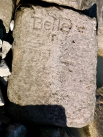 Belle. Chicago lakefront stone carvings, south of La Rabida Hospital. 2025