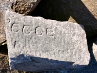 Pegge K Prendergast. Chicago lakefront stone carvings, south of La Rabida Hospital. 2025