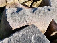 Chuck 78(?). Chicago lakefront stone carvings, south of La Rabida Hospital. 2025