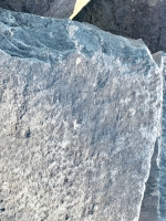 RR. Chicago lakefront stone carvings, south of La Rabida Hospital. 2025