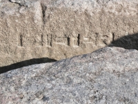 Undecipered. Chicago lakefront stone carvings, south of La Rabida Hospital. 2025