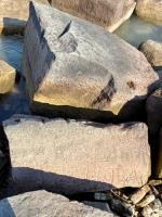 TA. Chicago lakefront stone carvings, south of La Rabida Hospital. 2025