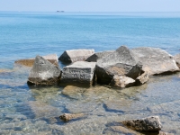 41, W.G., Bardy. Chicago lakefront stone carvings, behind La Rabida Hospital, 65th Street and the Lake. 2026