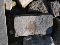 David 1962, GC, Manny + Mary. Chicago Lakefront stone carvings, south of La Rabida Hospital. 2025