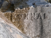Donna. Chicago lakefront stone carvings, behind La Rabida Hospital, 65th Street and the Lake. 2026
