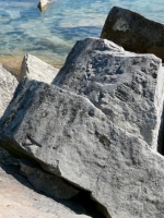 Y, heart. Chicago lakefront stone carvings, behind La Rabida Hospital, 65th Street and the Lake. 2026