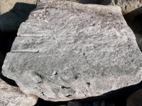 ME. Chicago lakefront stone carvings, south of La Rabida Hospital. 2025