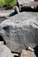 WB, 37, Ted, E.R. Chicago lakefront stone carvings, between 45th Street and Hyde Park Blvd. 2020