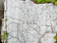 40. Chicago lakefront stone carvings, between 45th Street and Hyde Park Blvd. 2019