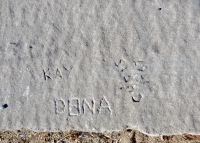 1967, Kay, Dana, Chris. Chicago lakefront stone carvings, between 45th Street and Hyde Park Blvd. 2018