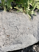 Godzilla. Chicago lakefront stone carvings, between 45th Street and Hyde Park Blvd. 2023