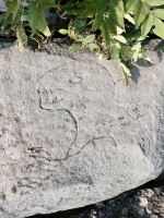 Godzilla. Chicago lakefront stone carvings, between 45th Street and Hyde Park Blvd. 2023 Godzilla. Chicago lakefront stone carvings, between 45th Street and Hyde Park Blvd. 2023