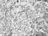 Profile, a, YV/OB. Chicago lakefront stone carvings, between 45th Street and Hyde Park Blvd. 2019 Profile, a, YV/OB. Chicago lakefront stone carvings, between 45th Street and Hyde Park Blvd. 2019
