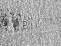 Bill. Chicago lakefront stone carvings, between 45th Street and Hyde Park Blvd. 2019 Bill. Chicago lakefront stone carvings, between 45th Street and Hyde Park Blvd. 2019