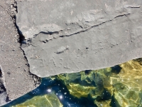 Steve, YL. Chicago lakefront stone carvings, between 45th Street and Hyde Park Blvd. 2019