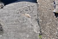 Shorty, AD. Chicago lakefront stone carvings, between 45th Street and Hyde Park Blvd. 2020