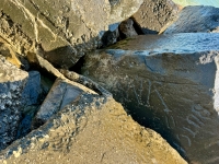 Hank, Butch, almost lost in the tumbled rocks. Chicago lakefront stone carvings, between 45th Street and Hyde Park Blvd. 2023