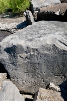 WB, 37, Ted, E.R. Chicago lakefront stone carvings, between 45th Street and Hyde Park Blvd. 2020