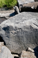 WB, 37, Ted, E.R. Chicago lakefront stone carvings, between 45th Street and Hyde Park Blvd. 2020 WB, 37, Ted, E.R. Chicago lakefront stone carvings, between 45th Street and Hyde Park Blvd. 2020